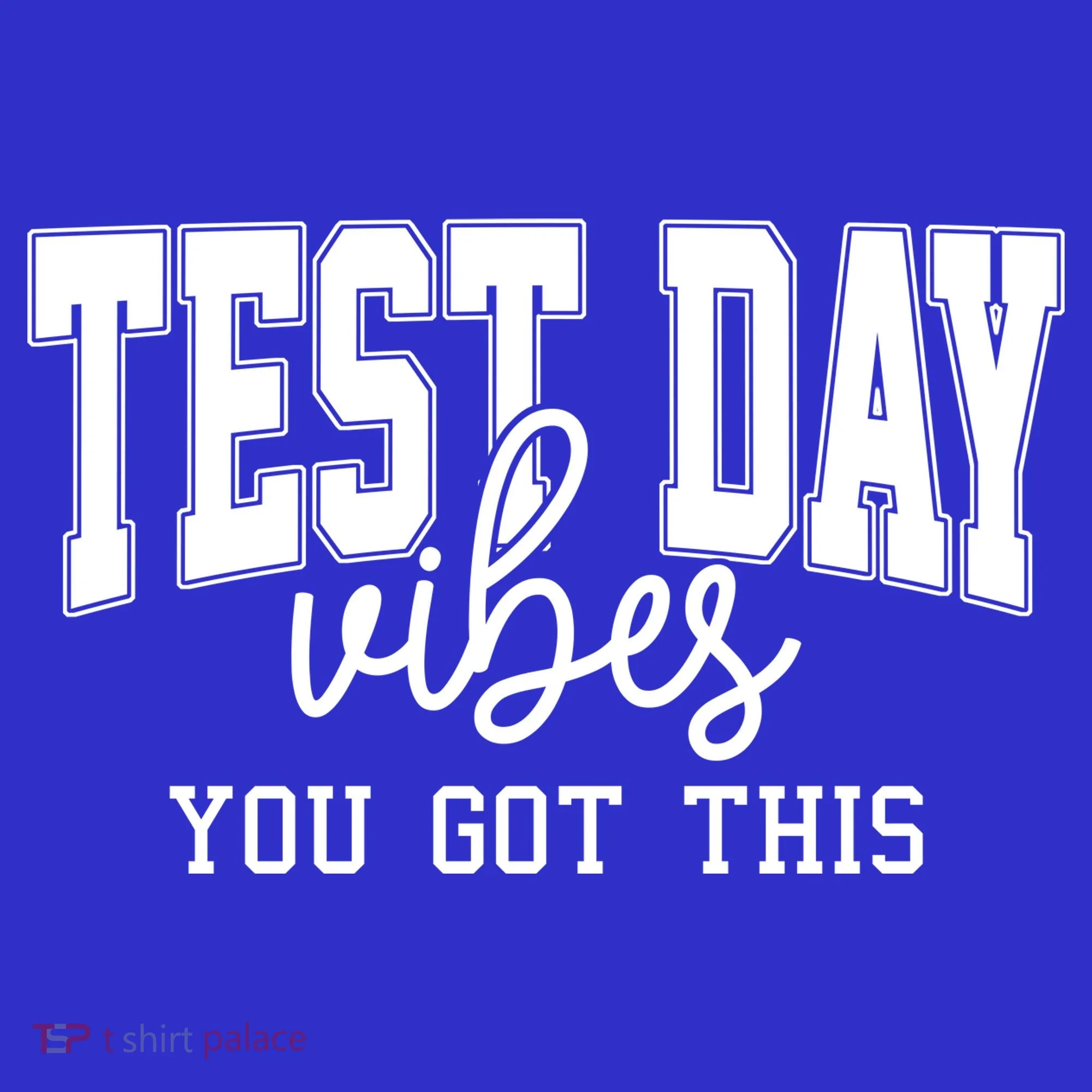Test Day Vibes You Got This Long Sleeve Shirt