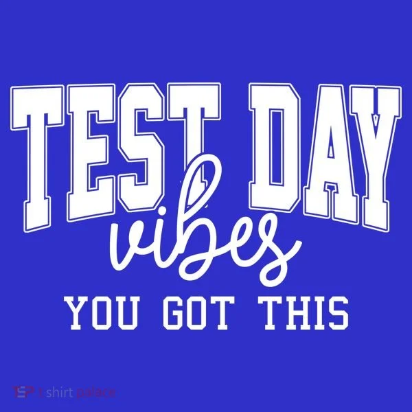 Test Day Vibes You Got This Toddler Hoodie