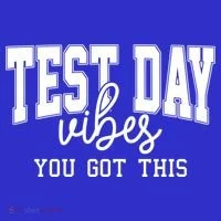 Test Day Vibes You Got This Women's T-Shirt thumb 6