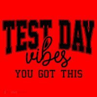 Test Day Vibes You Got This Santa Hat thumb 1