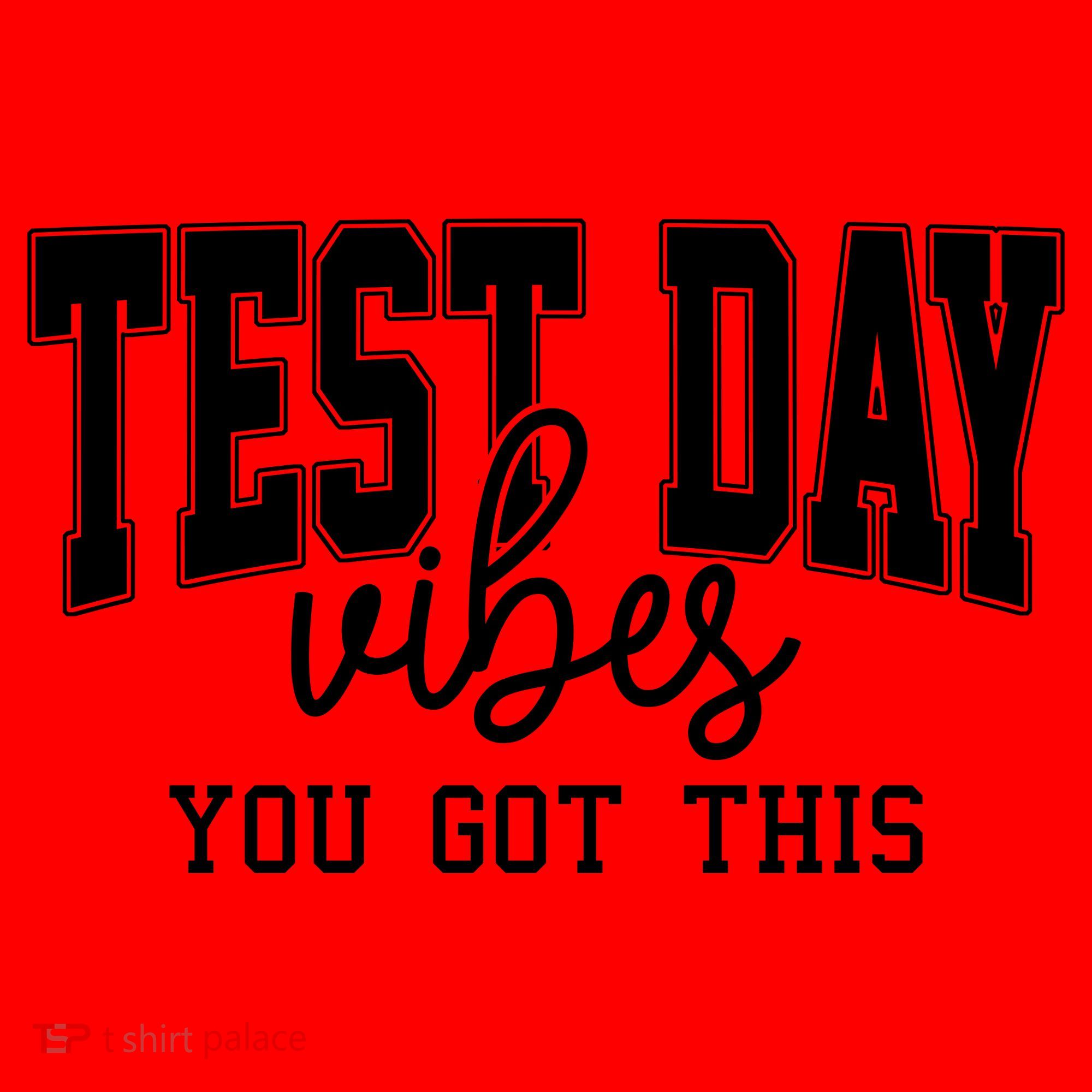 Test Day Vibes You Got This Santa Hat