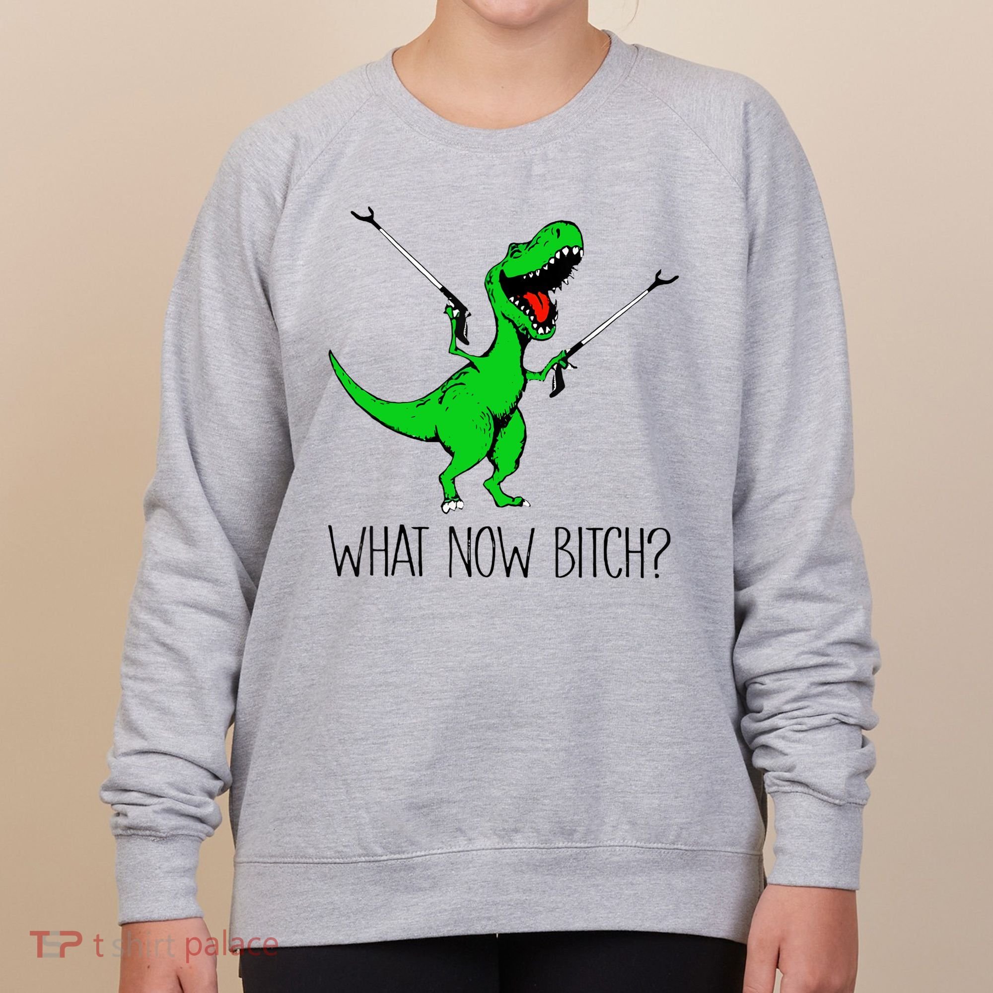 TRex Dinosaur What Now Bitch Funny Tyrannosaurus Rex TShirt Women's Sweatshirt