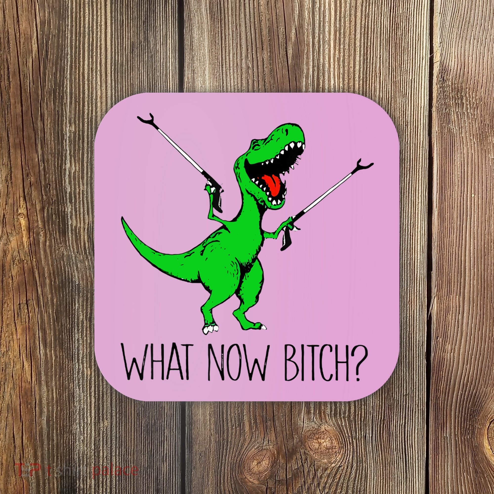 TRex Dinosaur What Now Bitch Funny Tyrannosaurus Rex TShirt Coaster