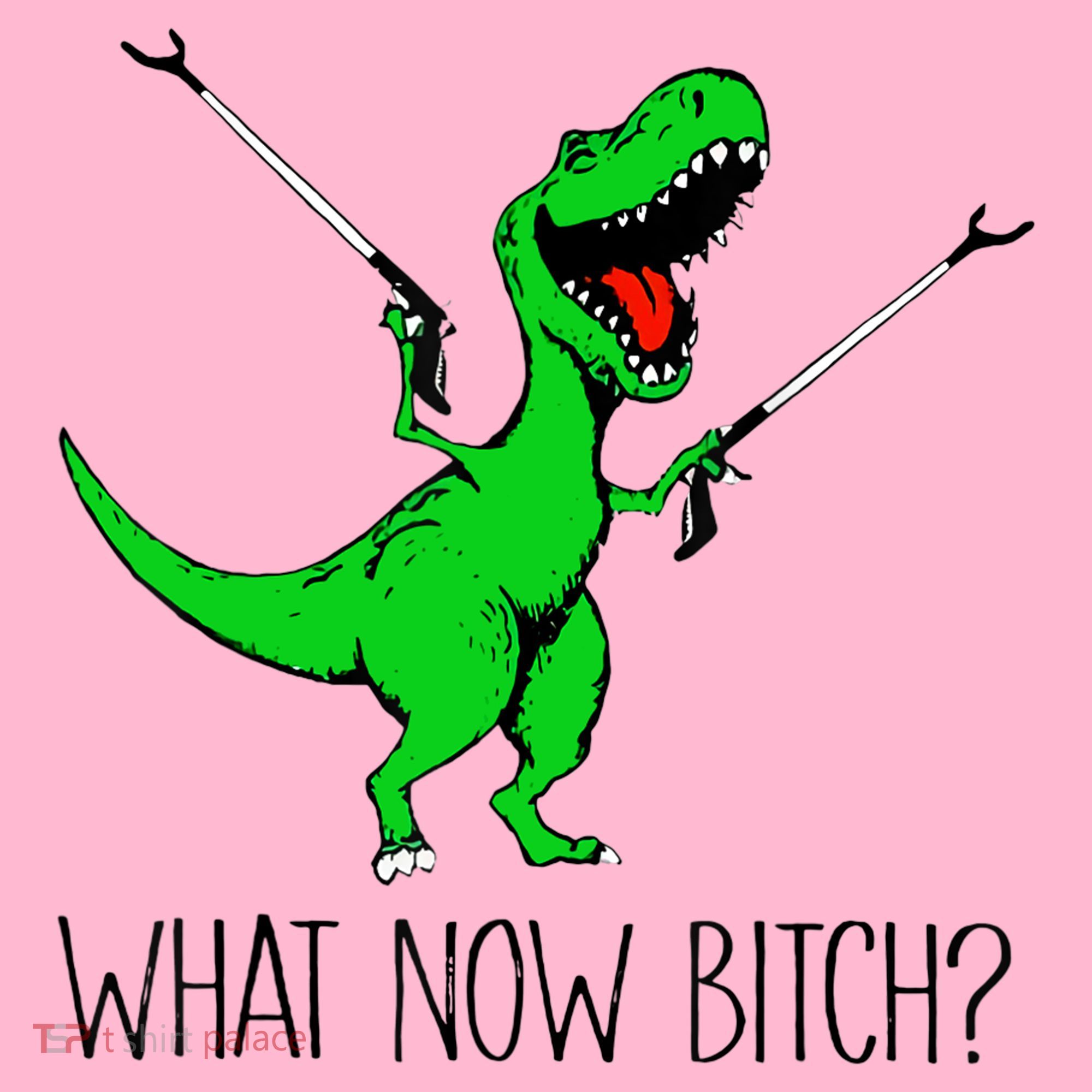 TRex Dinosaur What Now Bitch Funny Tyrannosaurus Rex TShirt Coaster