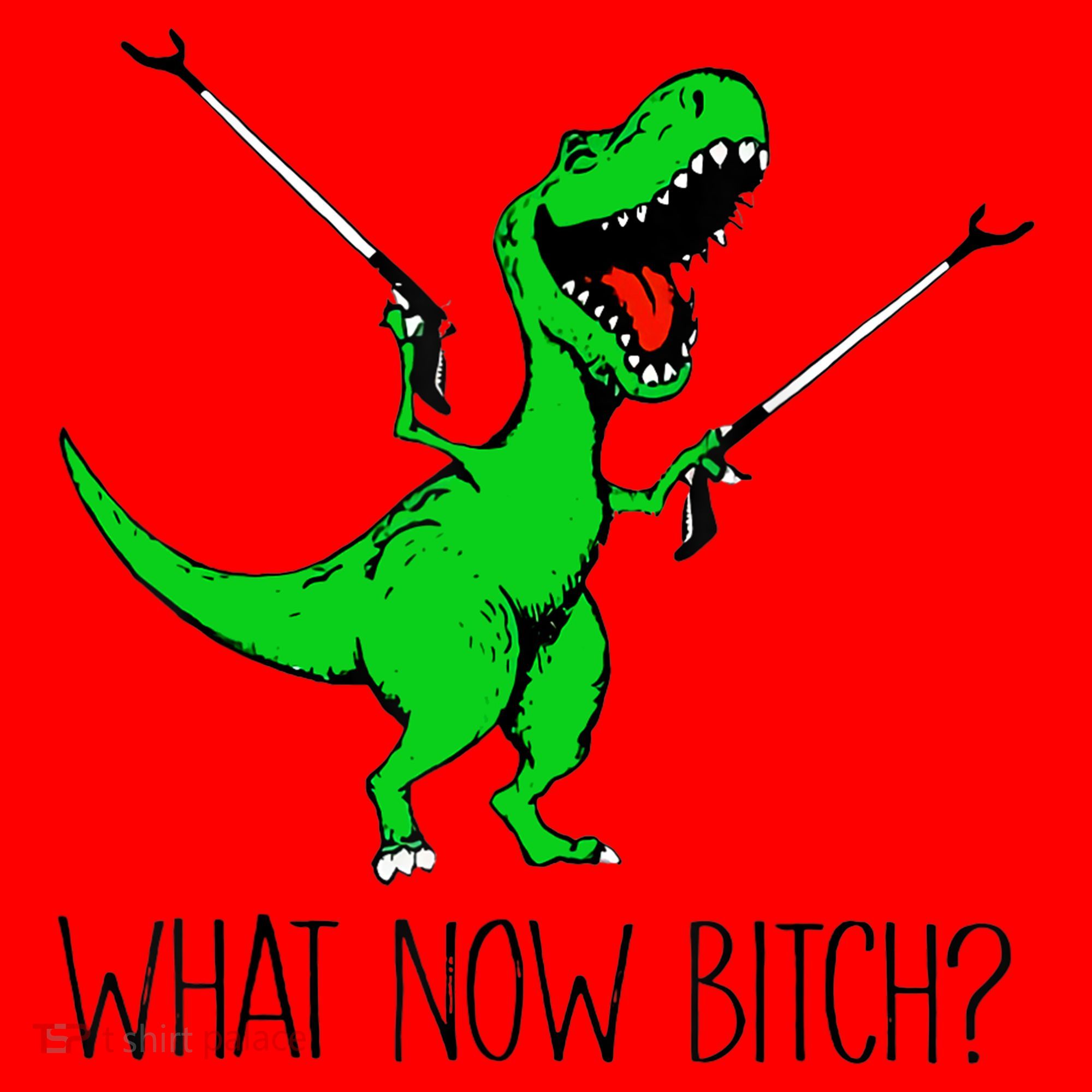TRex Dinosaur What Now Bitch Funny Tyrannosaurus Rex TShirt Santa Hat