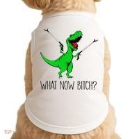 TRex Dinosaur What Now Bitch Funny Tyrannosaurus Rex TShirt Doggie Tank thumb 0