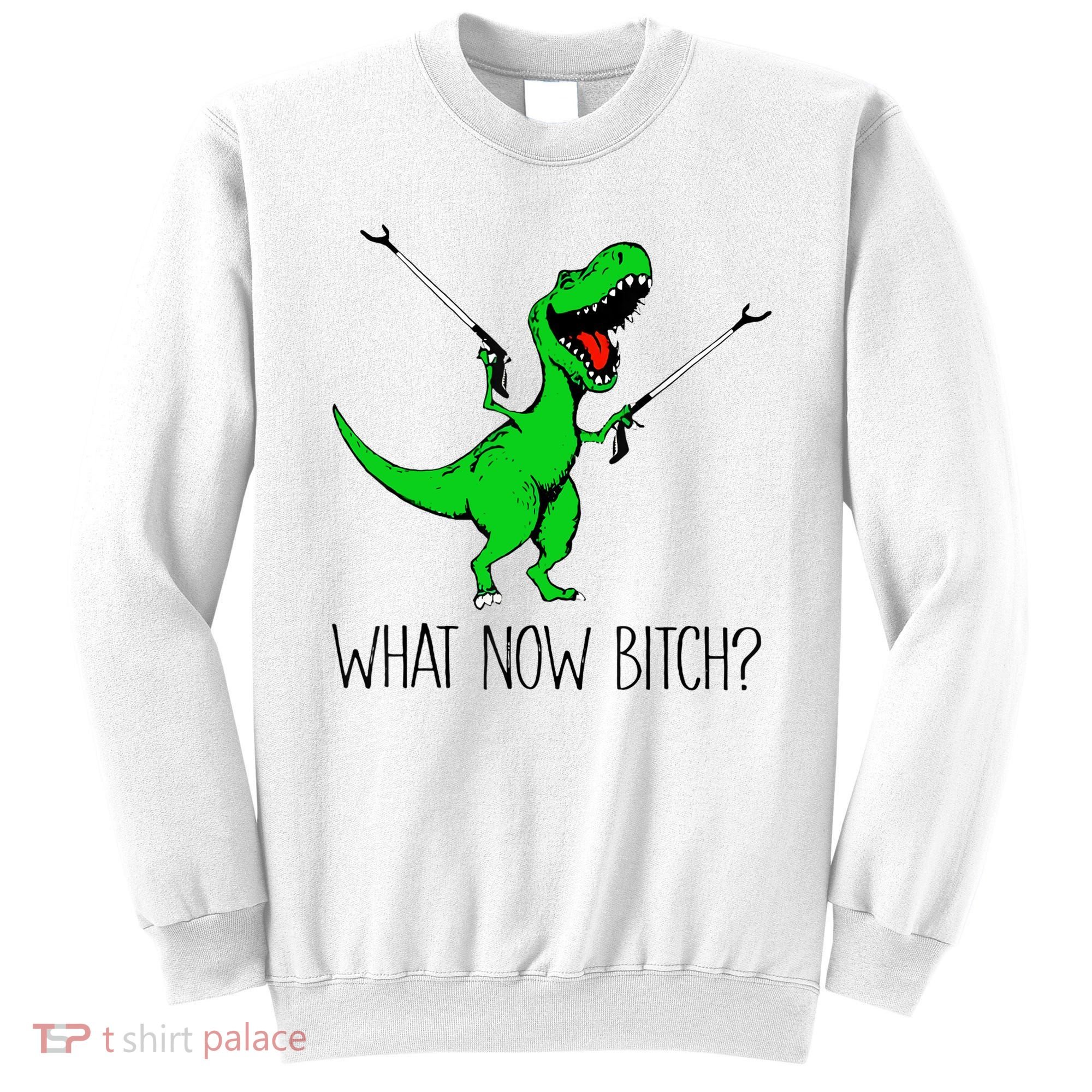 TRex Dinosaur What Now Bitch Funny Tyrannosaurus Rex TShirt Sweatshirt