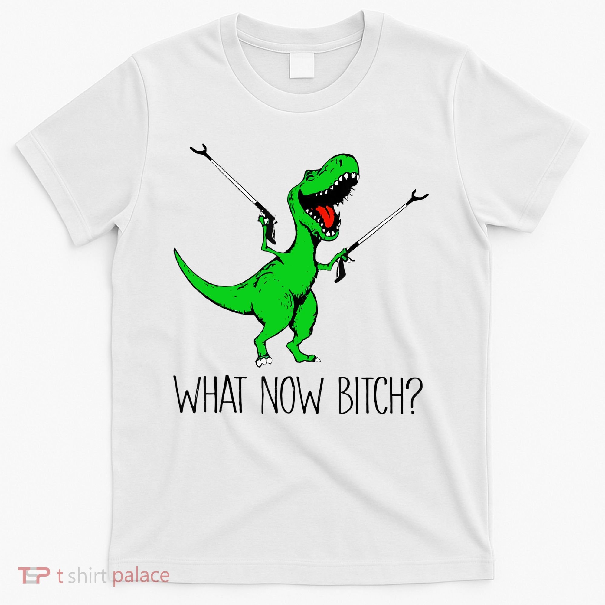 TRex Dinosaur What Now Bitch Funny Tyrannosaurus Rex TShirt T-Shirt