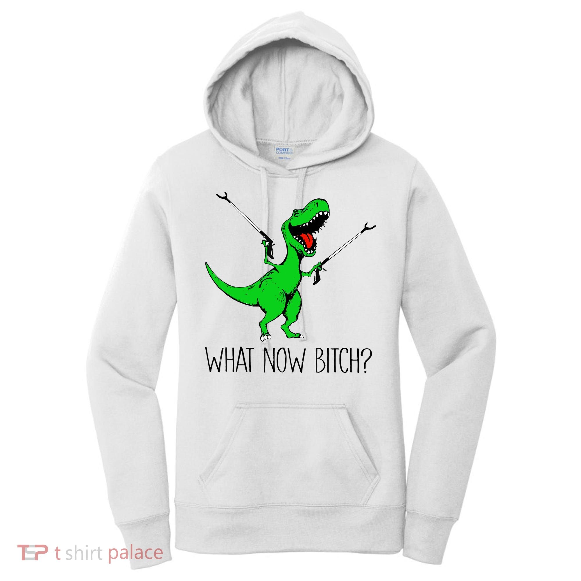 TRex Dinosaur What Now Bitch Funny Tyrannosaurus Rex TShirt Women's Hoodie