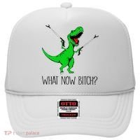 TRex Dinosaur What Now Bitch Funny Tyrannosaurus Rex TShirt Hat thumb 0