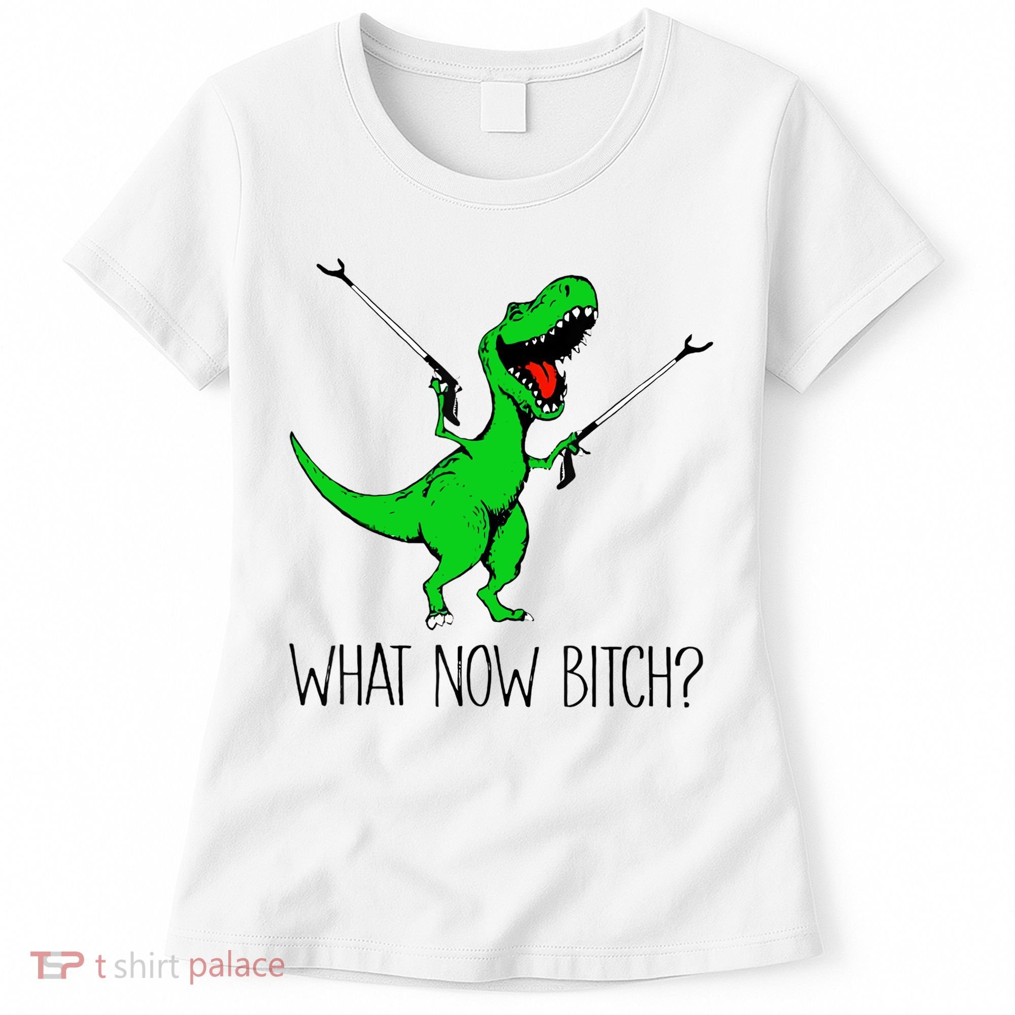 TRex Dinosaur What Now Bitch Funny Tyrannosaurus Rex TShirt Women's T-Shirt