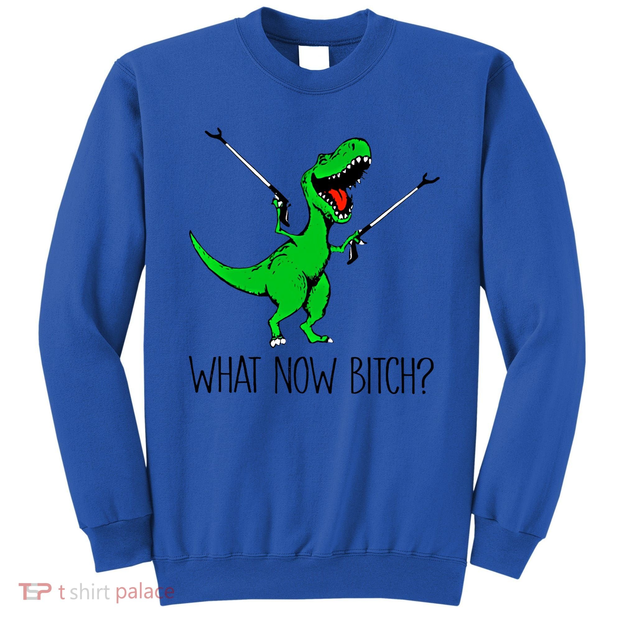 Tgiftrex Dinosaur What Now Bitch Funny Tyrannosaurus Rex Gift Sweatshirt