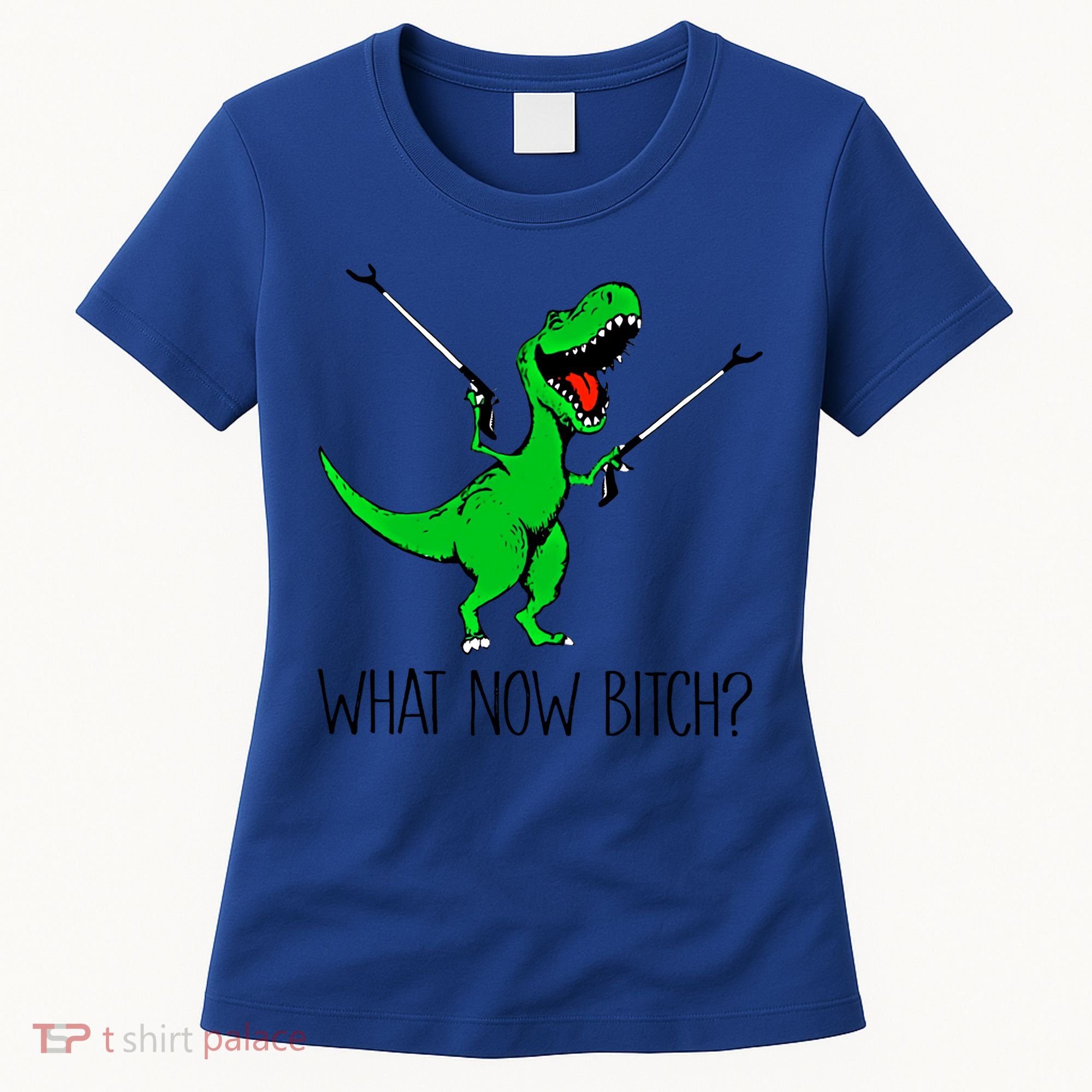 Tgiftrex Dinosaur What Now Bitch Funny Tyrannosaurus Rex Gift Women's T-Shirt