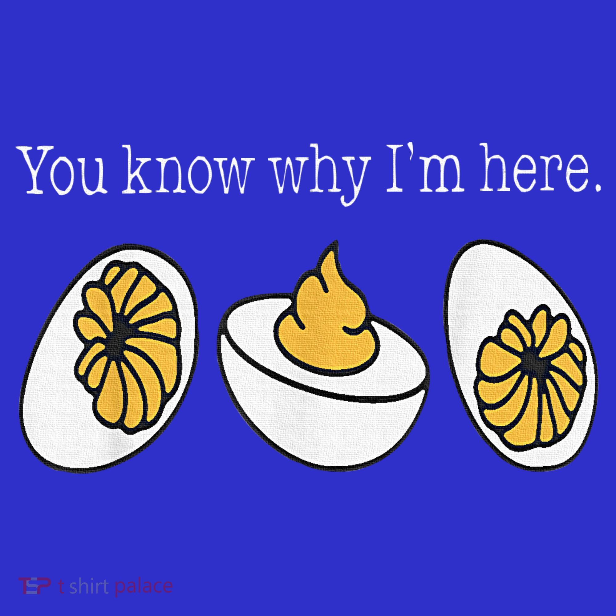 Thanksgiving Dinner You Know Why Im Here Deviled Egg Toddler Hoodie