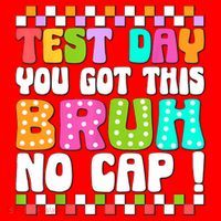 Test Day You Got This Bruh No Cap Funny Testing Day Teacher  Santa Hat thumb 1