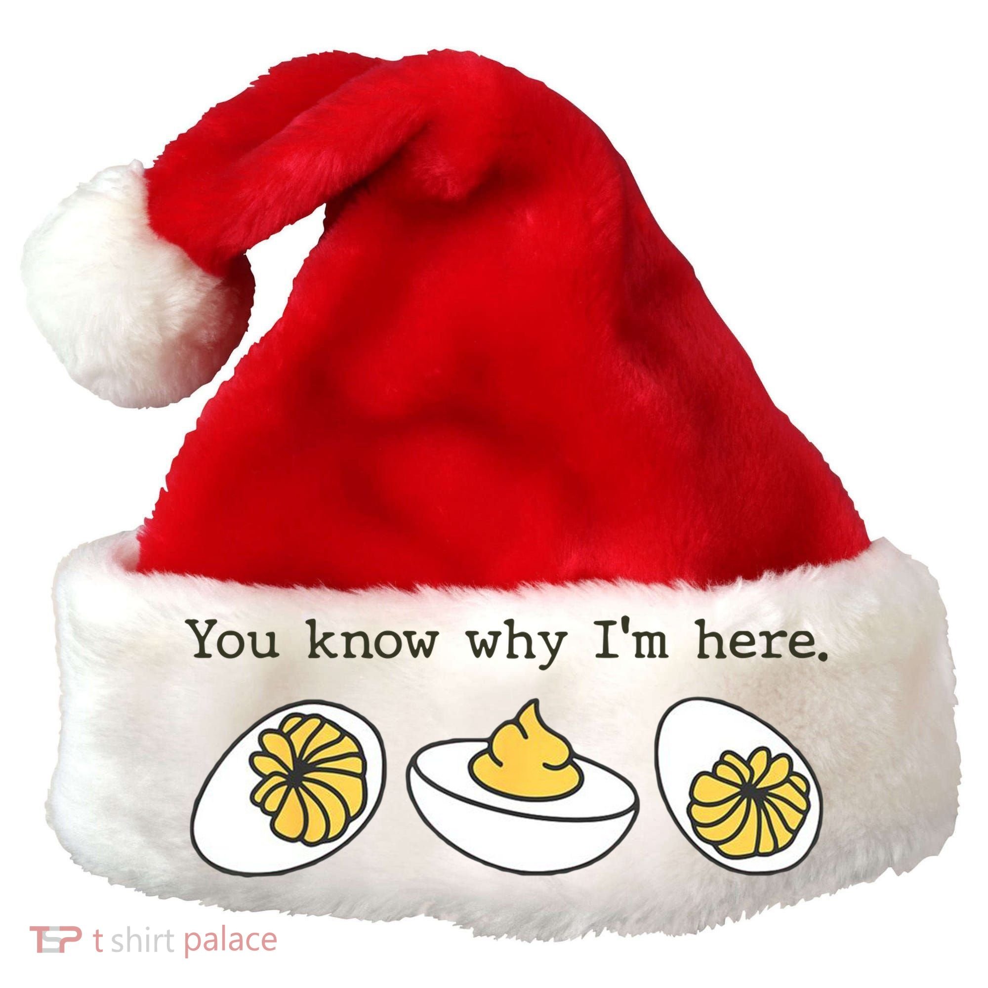 Thanksgiving Dinner You Know Why IM Here Deviled Egg Santa Hat