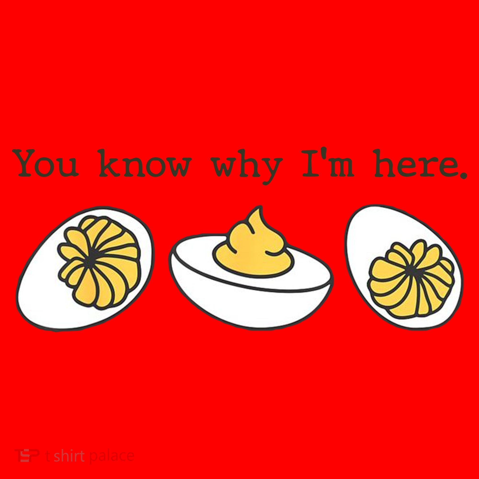 Thanksgiving Dinner You Know Why IM Here Deviled Egg Santa Hat