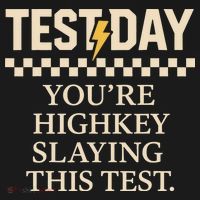Test Day Youre Highkey Slaying This Test Teacher Baby Bodysuit thumb 2