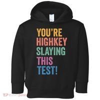 Testing Day Youre Highkey Slaying This Test Day Teacher Gift Toddler Hoodie thumb 0