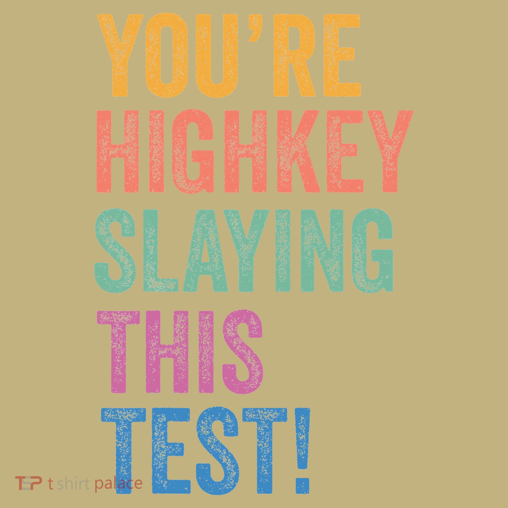 Testing Day Youre Highkey Slaying This Test Day Teacher Gift Long Sleeve Shirt