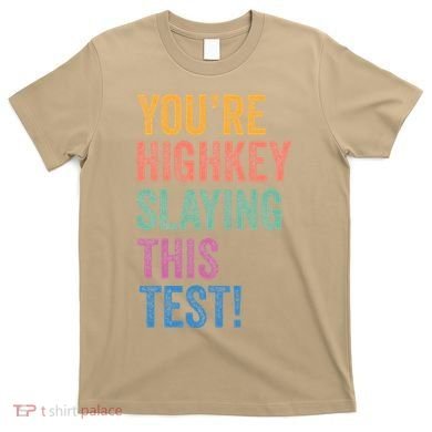Testing Day Youre Highkey Slaying This Test Day Teacher Gift T-Shirt