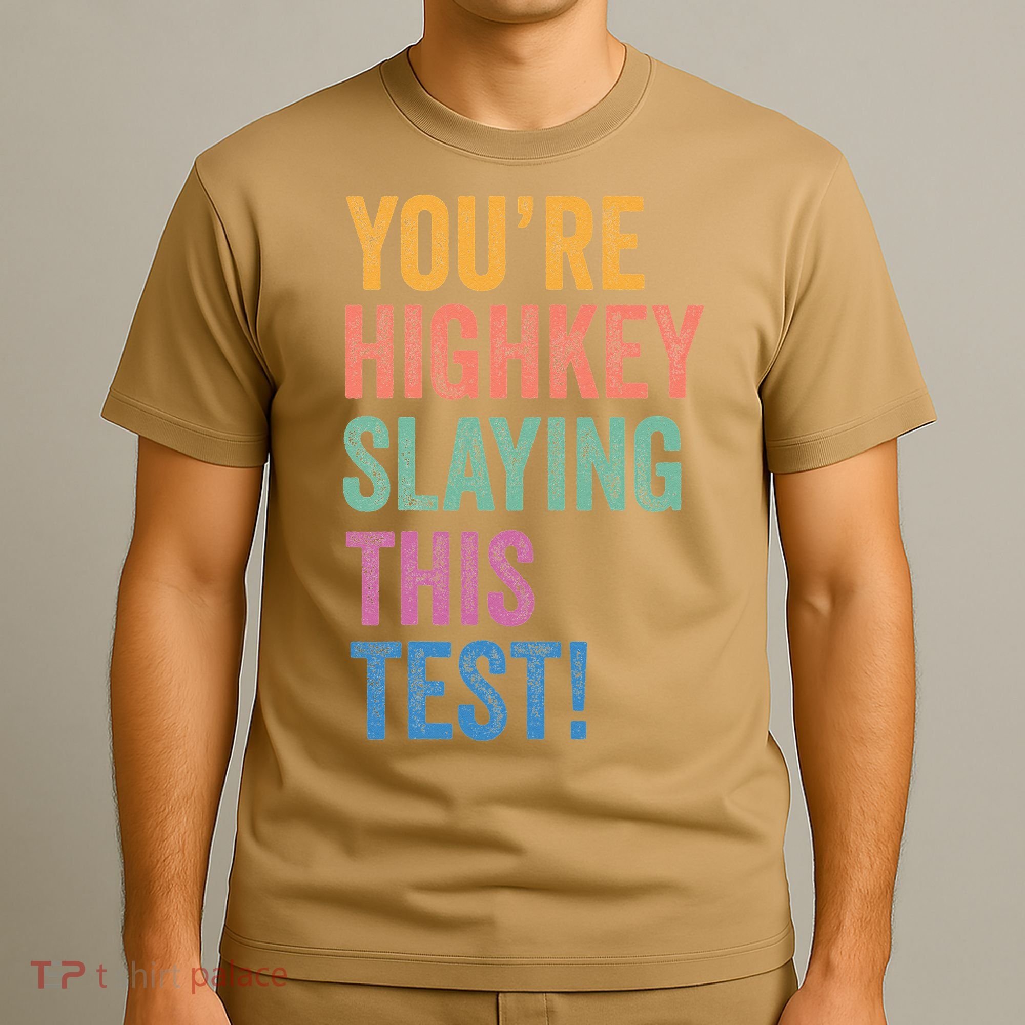 Testing Day Youre Highkey Slaying This Test Day Teacher Gift T-Shirt