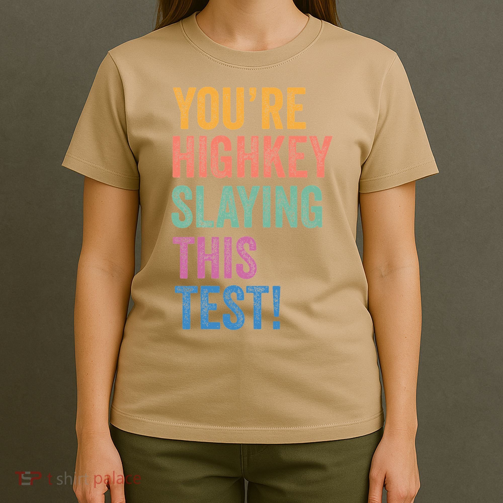 Testing Day Youre Highkey Slaying This Test Day Teacher Gift T-Shirt
