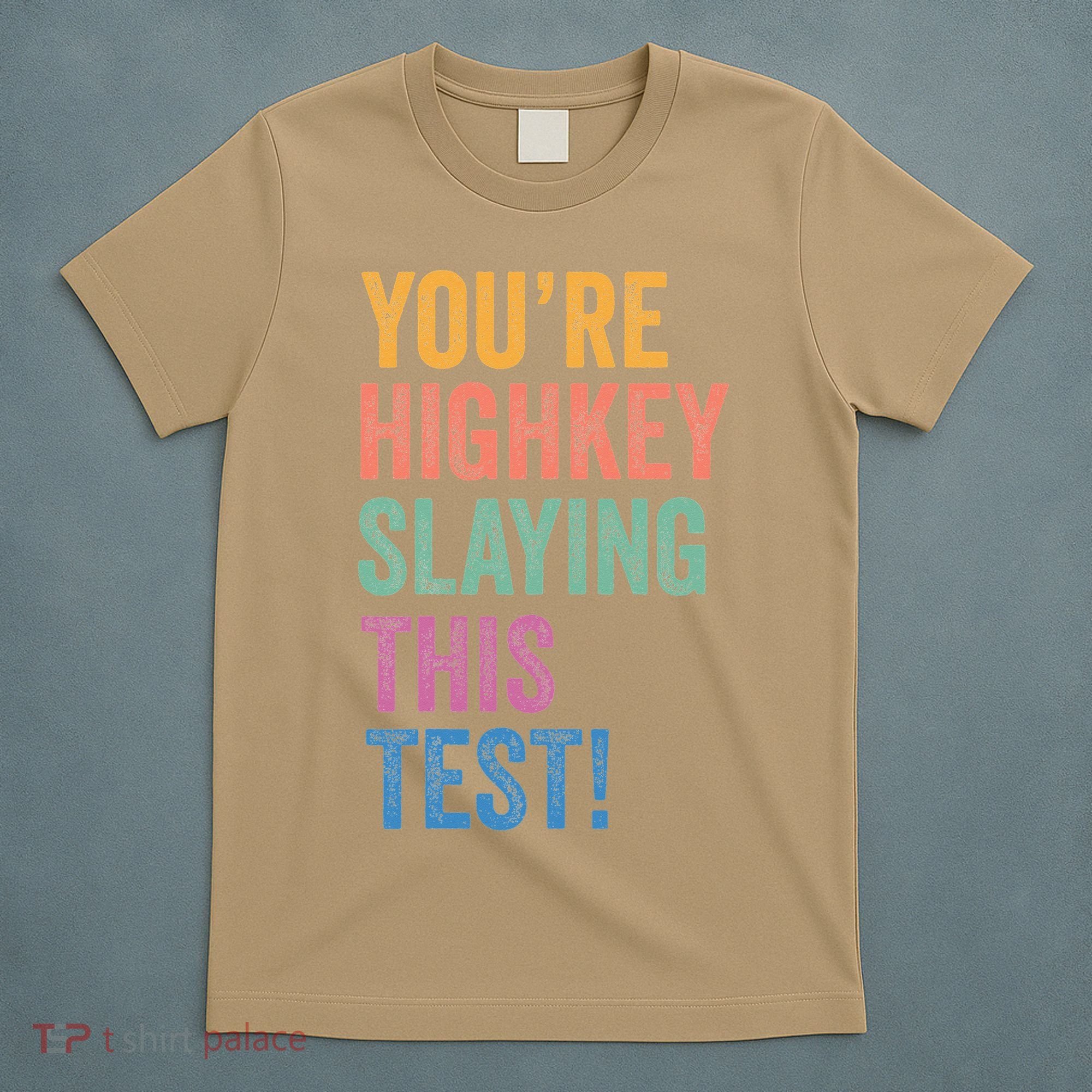 Testing Day Youre Highkey Slaying This Test Day Teacher Gift T-Shirt