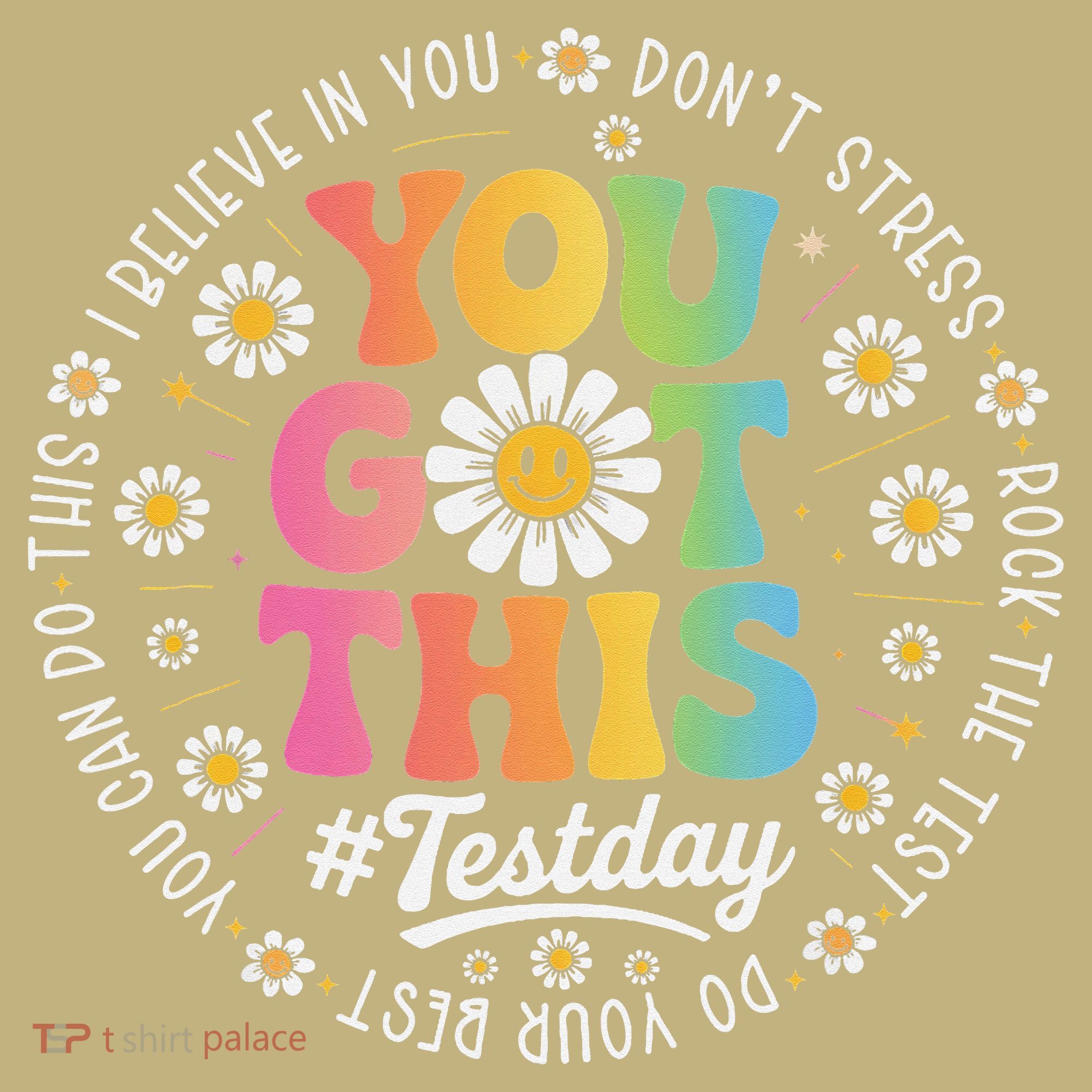 Test Day You Got This Rock The Test Teacher Testing Day Hoodie