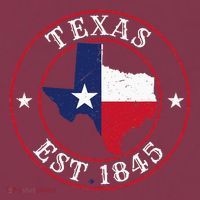 Texas Est 1845 Texan Home State Texas Pride 16oz Travel Tumbler thumb 2
