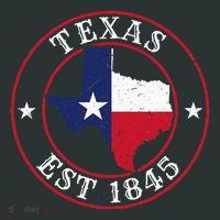Texas Est 1845 Texan Home State Texas Pride Infant Baby Jersey Bodysuit thumb 2