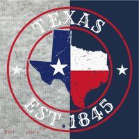Texas Est 1845 Texan Home State Texas Pride Kids Colorblock Raglan Jersey thumb 2