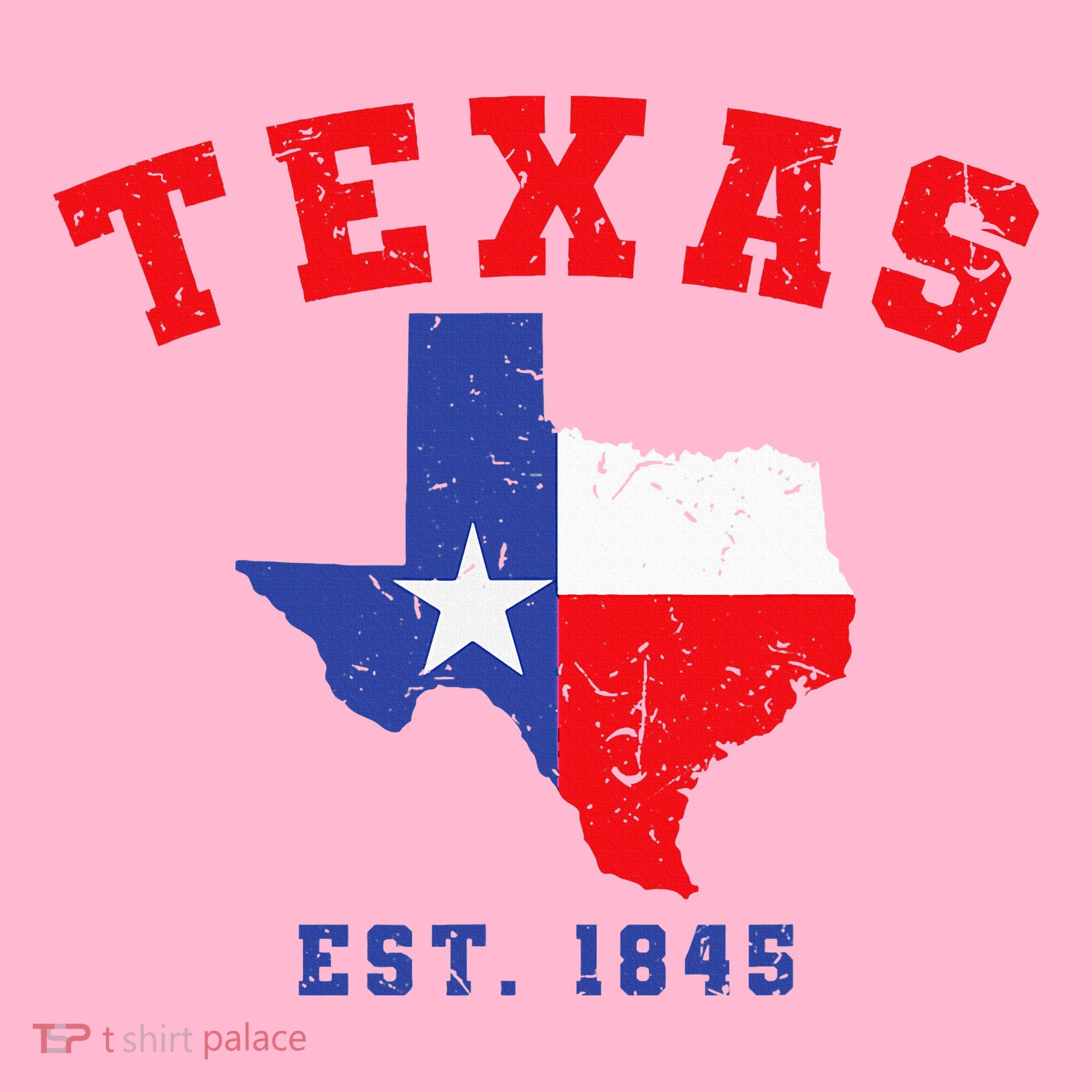 Texas Est. 1845 Texas Pride Home State Texan Coaster