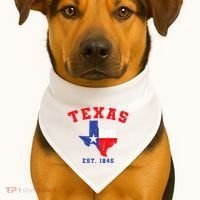 Texas Est. 1845 Texas Pride Home State Texan USA-Made Doggie Bandana thumb 1