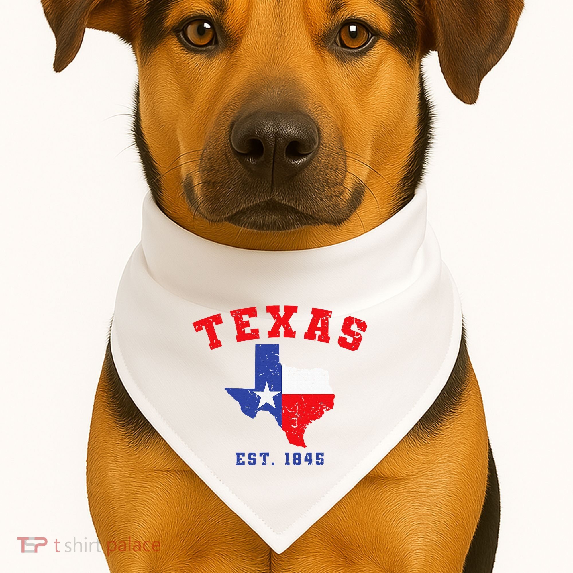 Texas Est. 1845 Texas Pride Home State Texan USA-Made Doggie Bandana