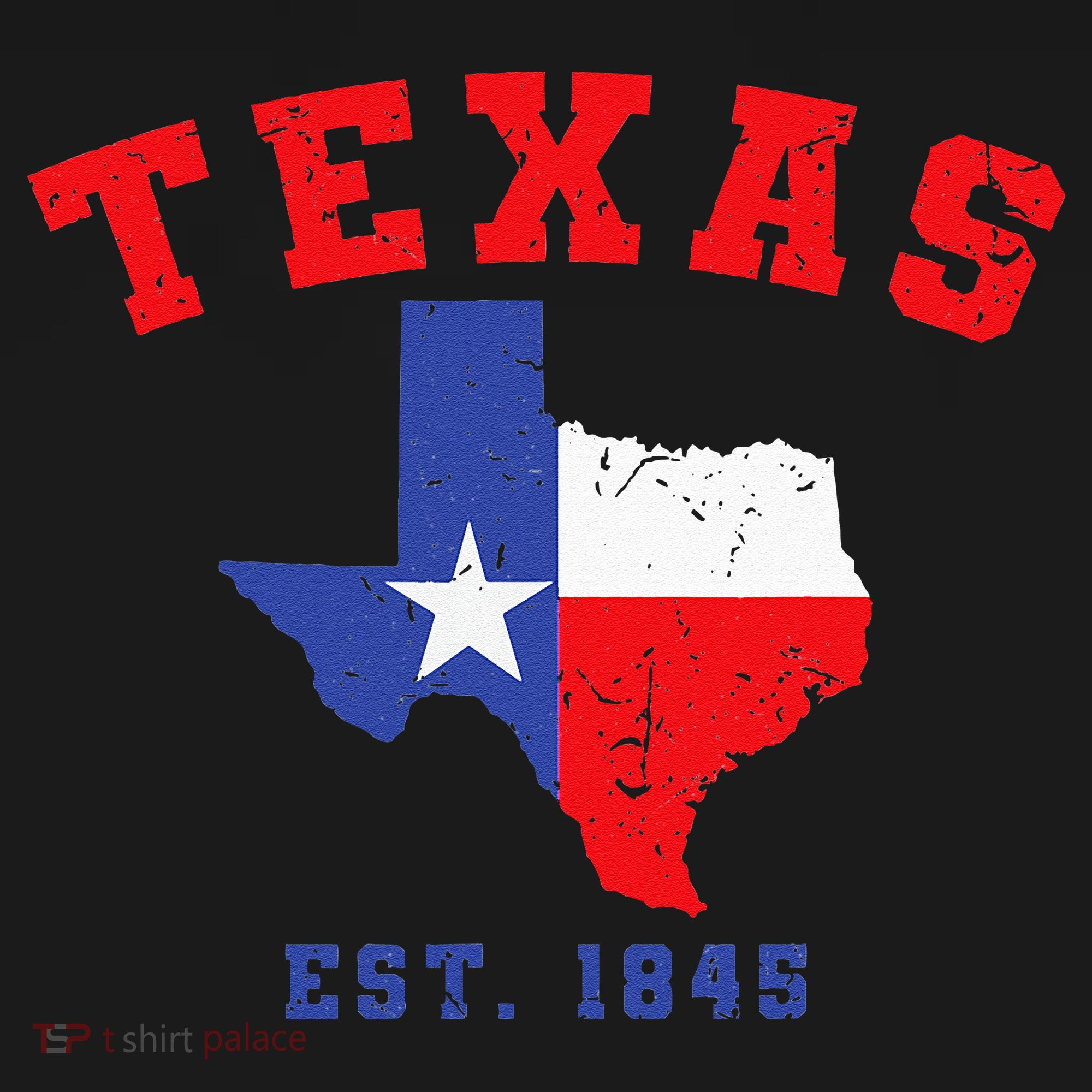 Texas Est 1845 Texas Pride Home State Texan Apron
