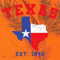 Texas Est 1845 Texas Pride Home State Texan Kati Licensed 12" Camo Cuffed Beanie thumb 2