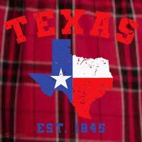 Texas Est 1845 Texas Pride Home State Texan Women's Flannel Plaid Pajama Pants thumb 2