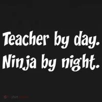 Teacher By Day Ninja By Night Women's T-Shirt thumb 6