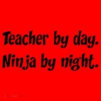 Teacher By Day Ninja By Night Santa Hat thumb 1