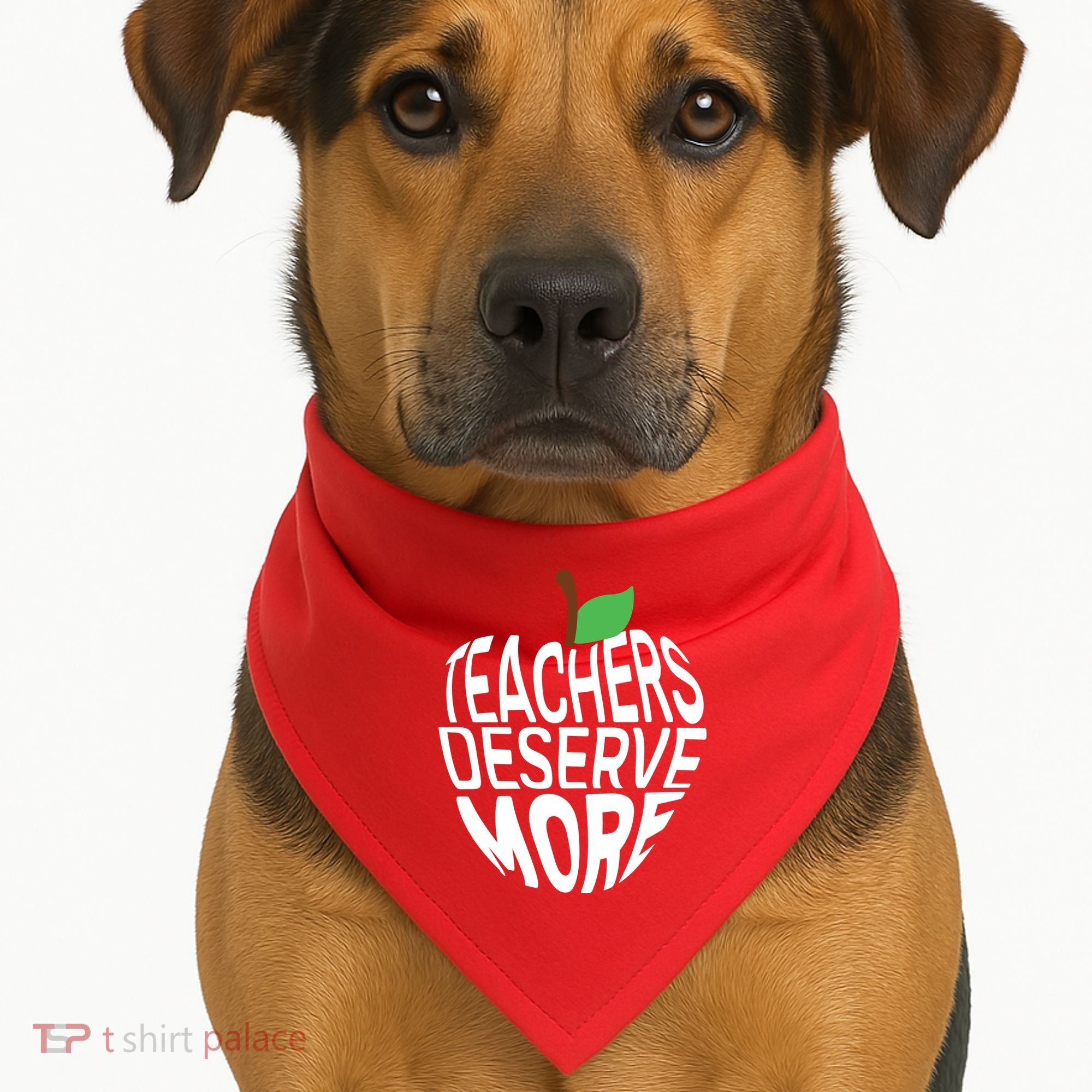 Teachers Deserve More Arizona Teacher Protest Apple USA-Made Doggie Bandana