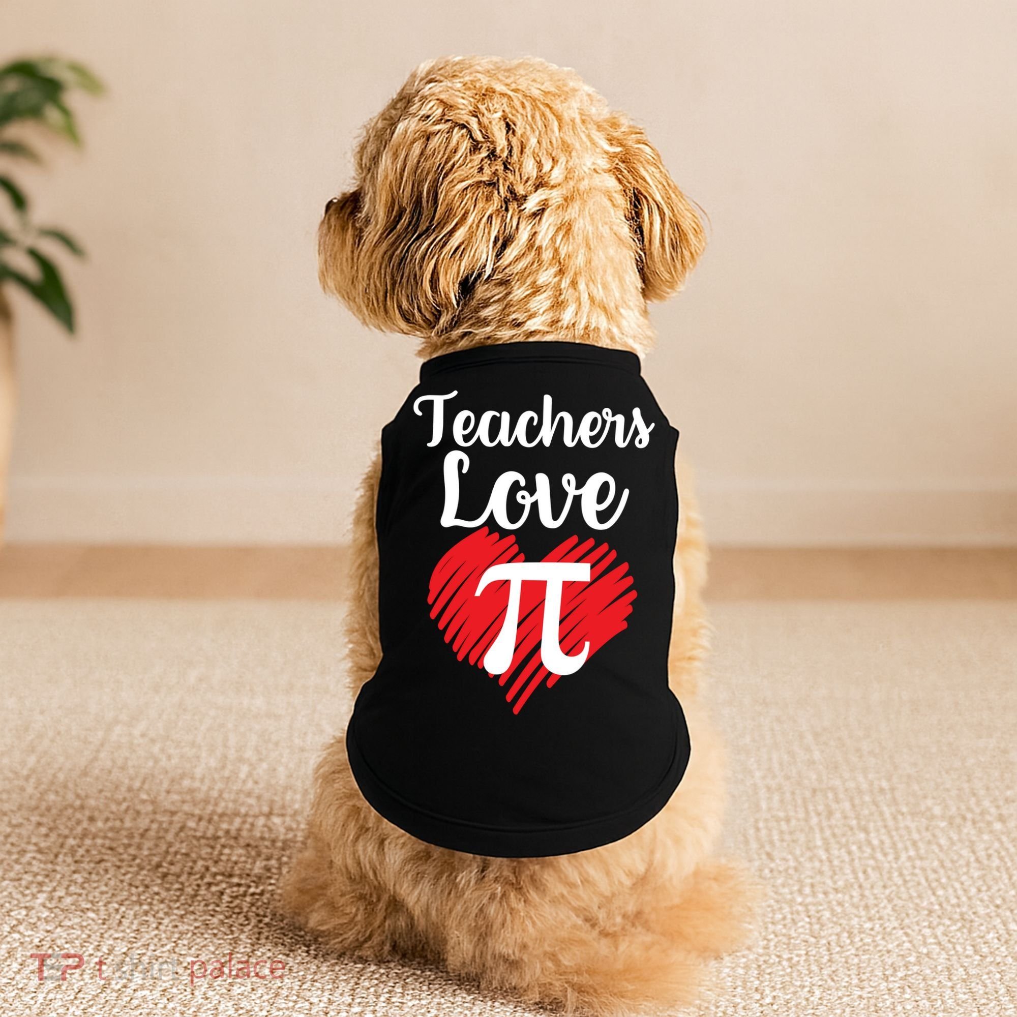 Teachers Love Pi Doggie Tank