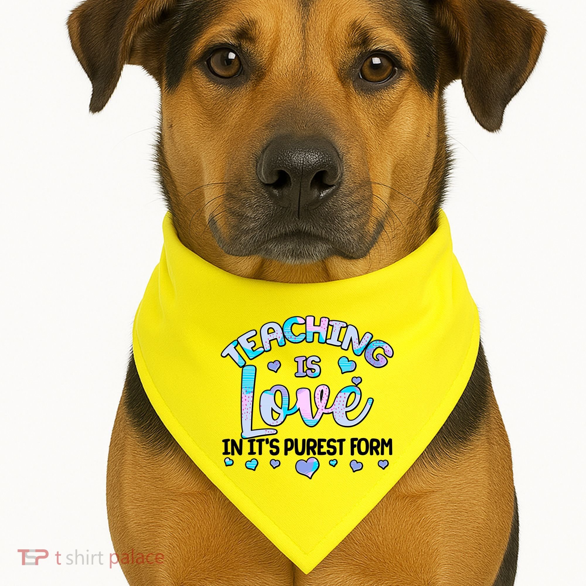 Teaching Is Love In It's Purest Form USA-Made Doggie Bandana