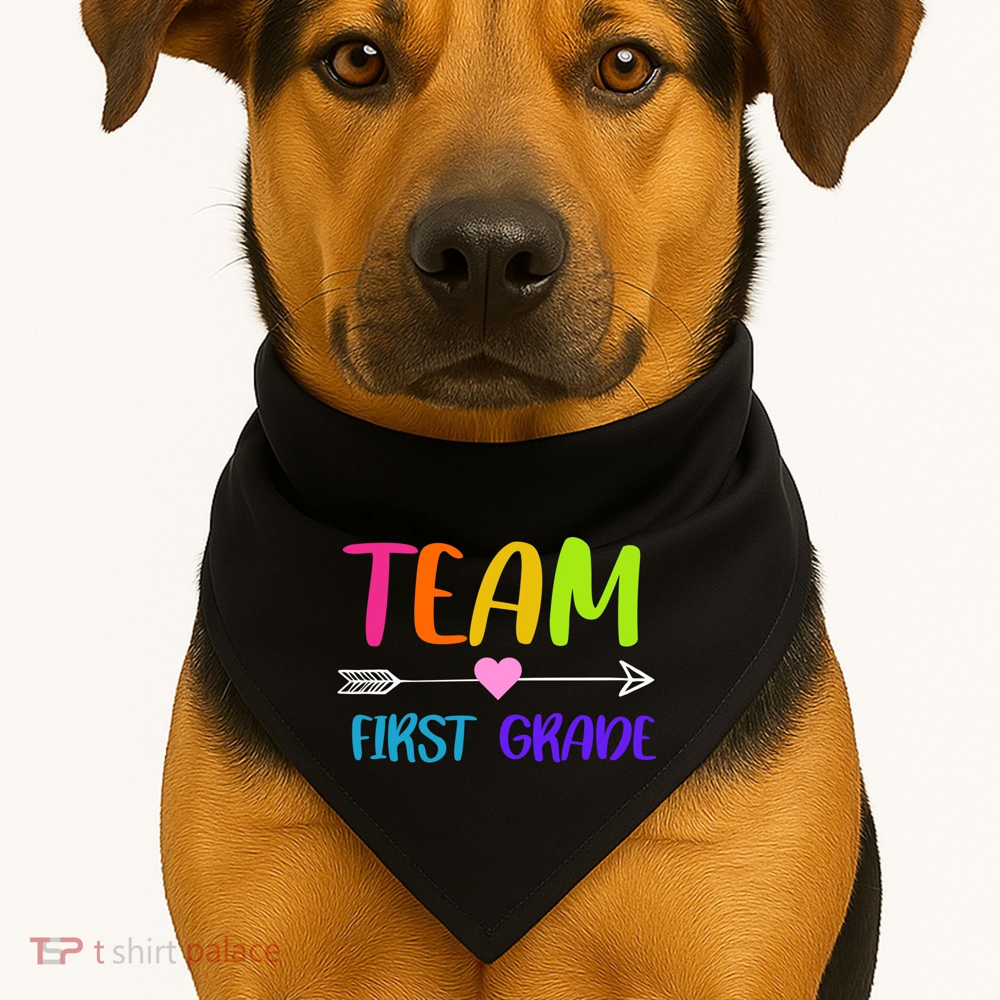 Team 1st Grade Arrow Heart USA-Made Doggie Bandana