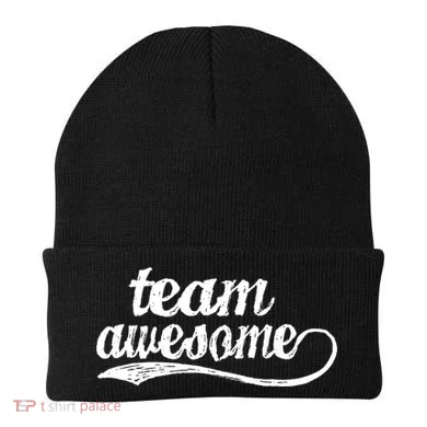 Team Awesome Retro Beanie