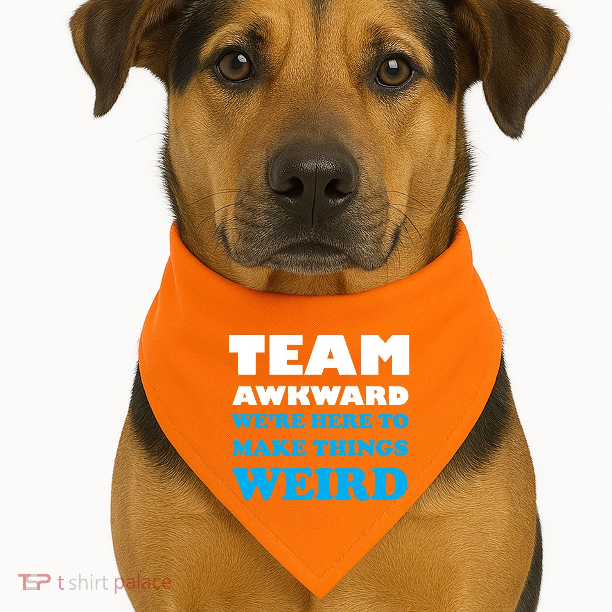 Team Awkward Were Here To Make Things Weird USA-Made Doggie Bandana