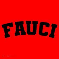 Team Dr Fauci Sporty Logo Santa Hat thumb 1