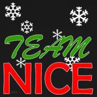 Team Nice Santa's Nice List T-Shirt thumb 7