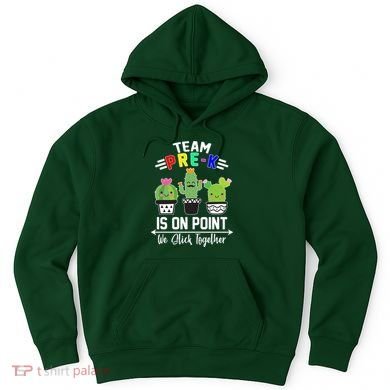 Team Pre-K Is On Point Hoodie
