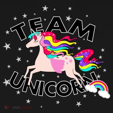 Team Unicorn Wool Snapback Cap